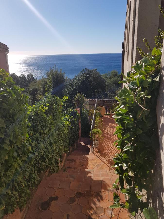 Bed And Breakfast Tenuta Palmieri Only Adult Maratea Exterior photo